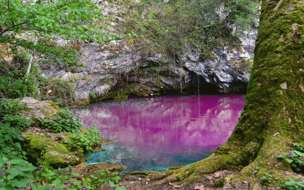 A pond shimmering with vibrant blues and pinks.